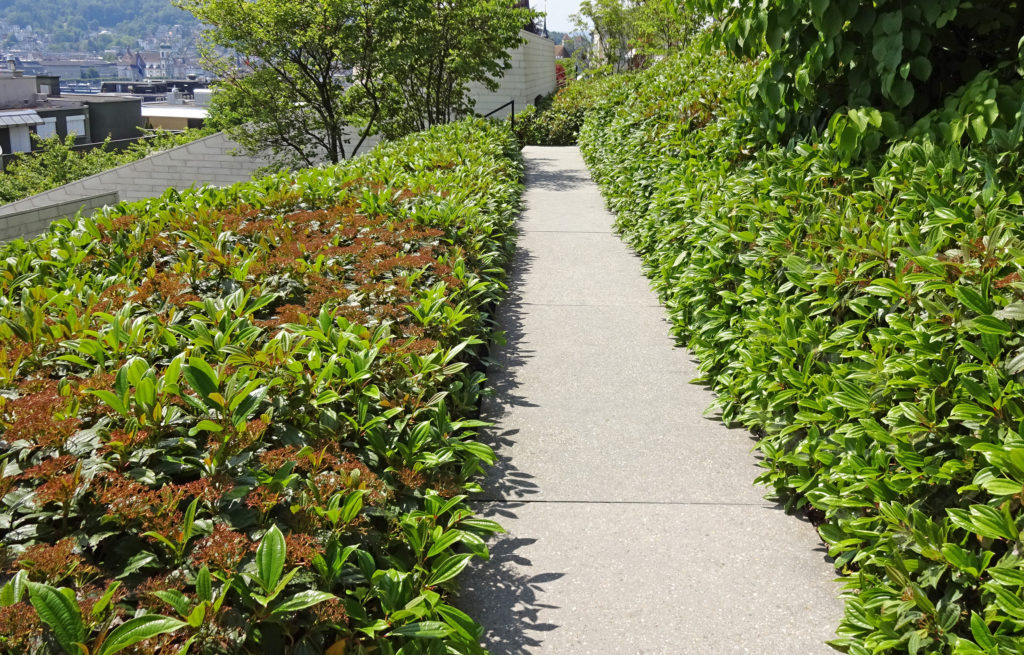 landformen-adligenswilerstrasse-luzern-ts3-1024x655