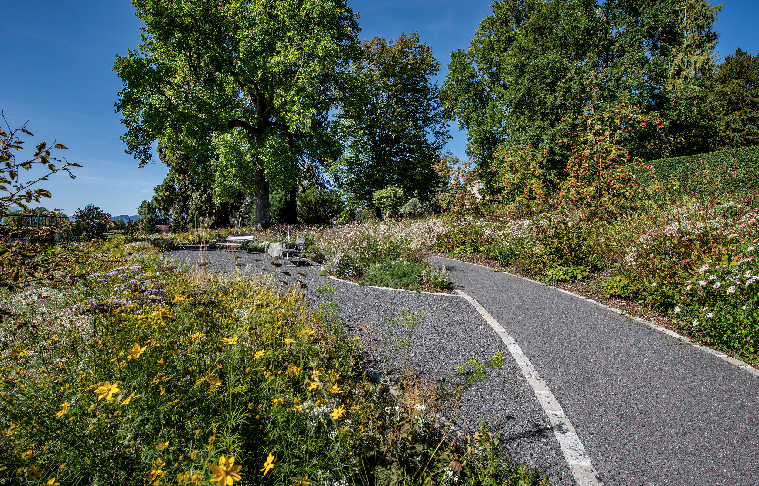 landformen-cevitch-park-meggen-ts4