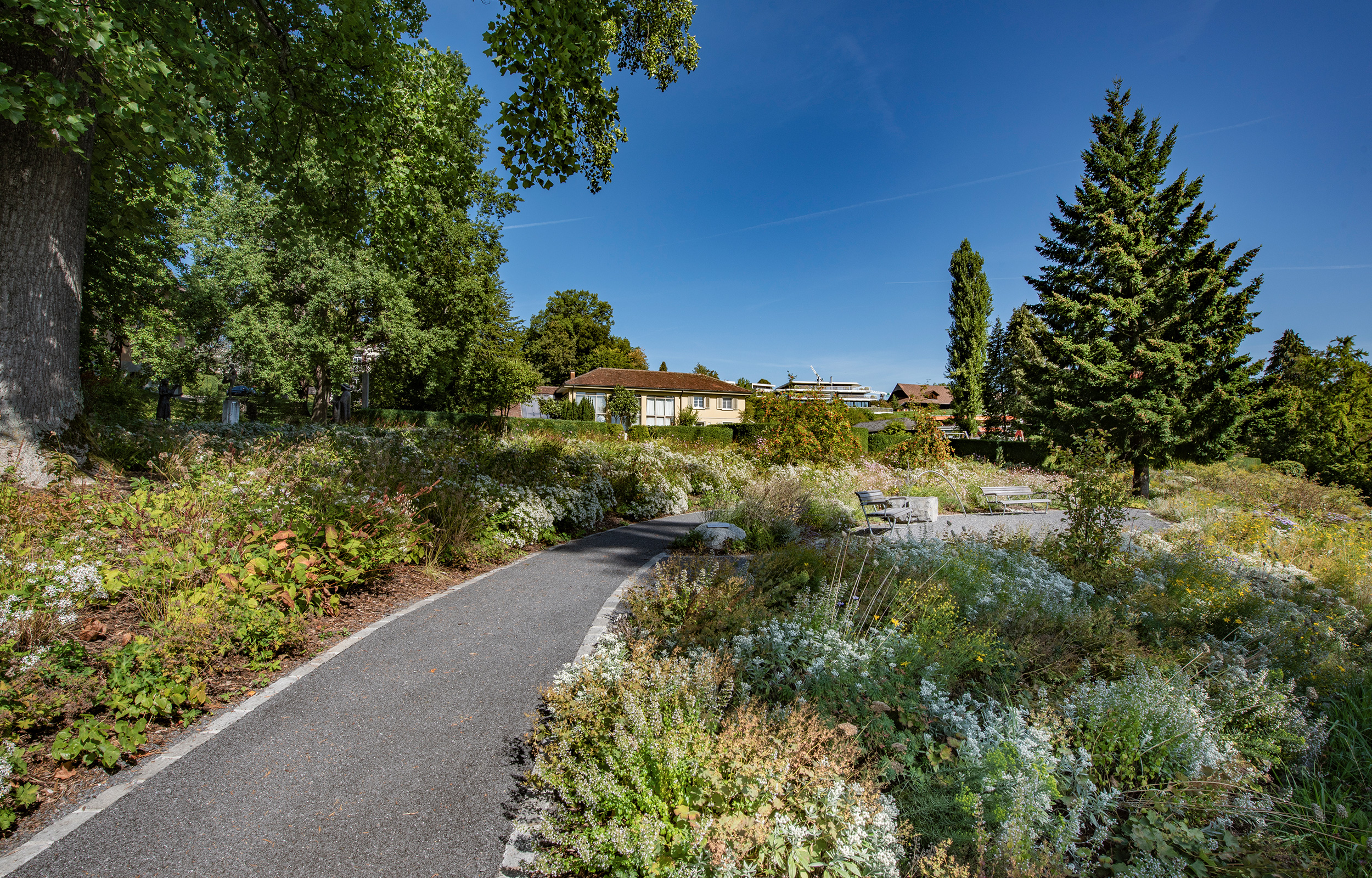 landformen-cevitch-park-meggen-ts7