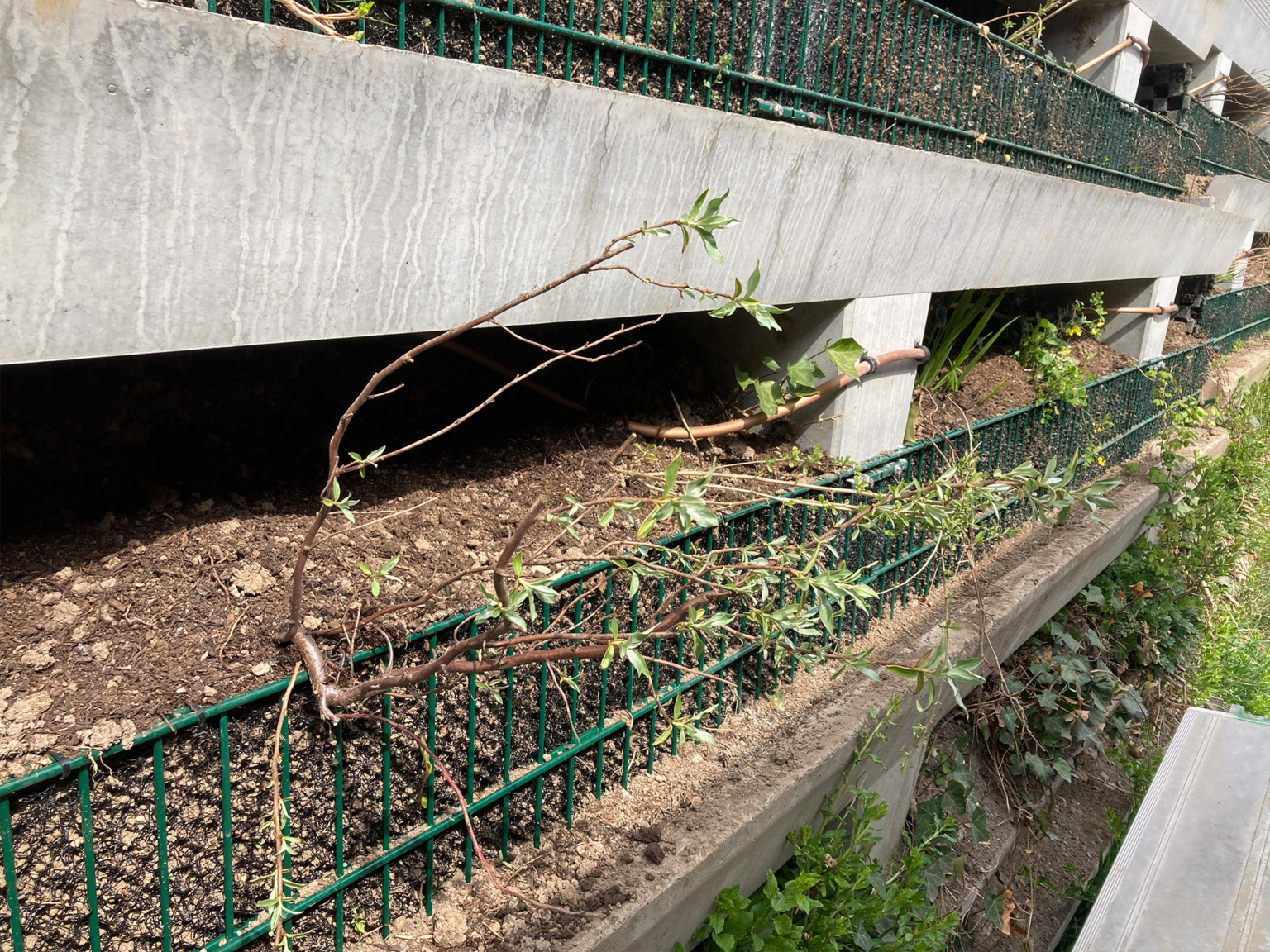 landformen-evergreen-buochs-ts4-1536x1152