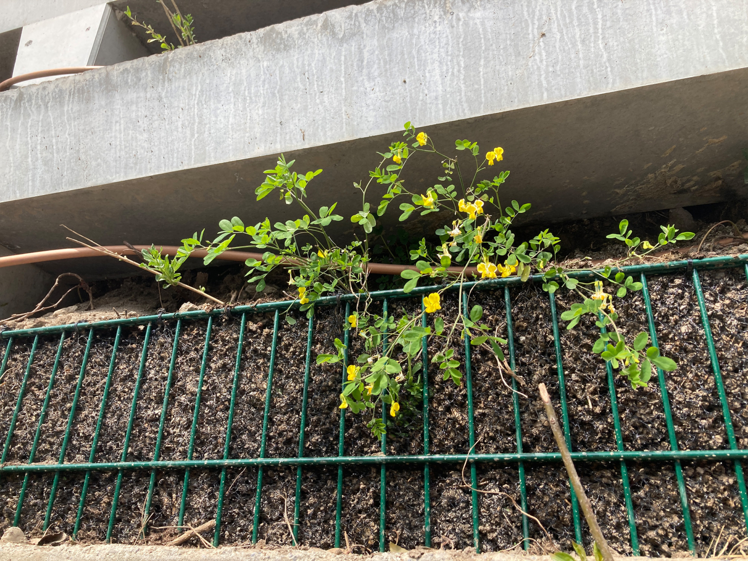 landformen-evergreen-buochs-ts5-1536x1152