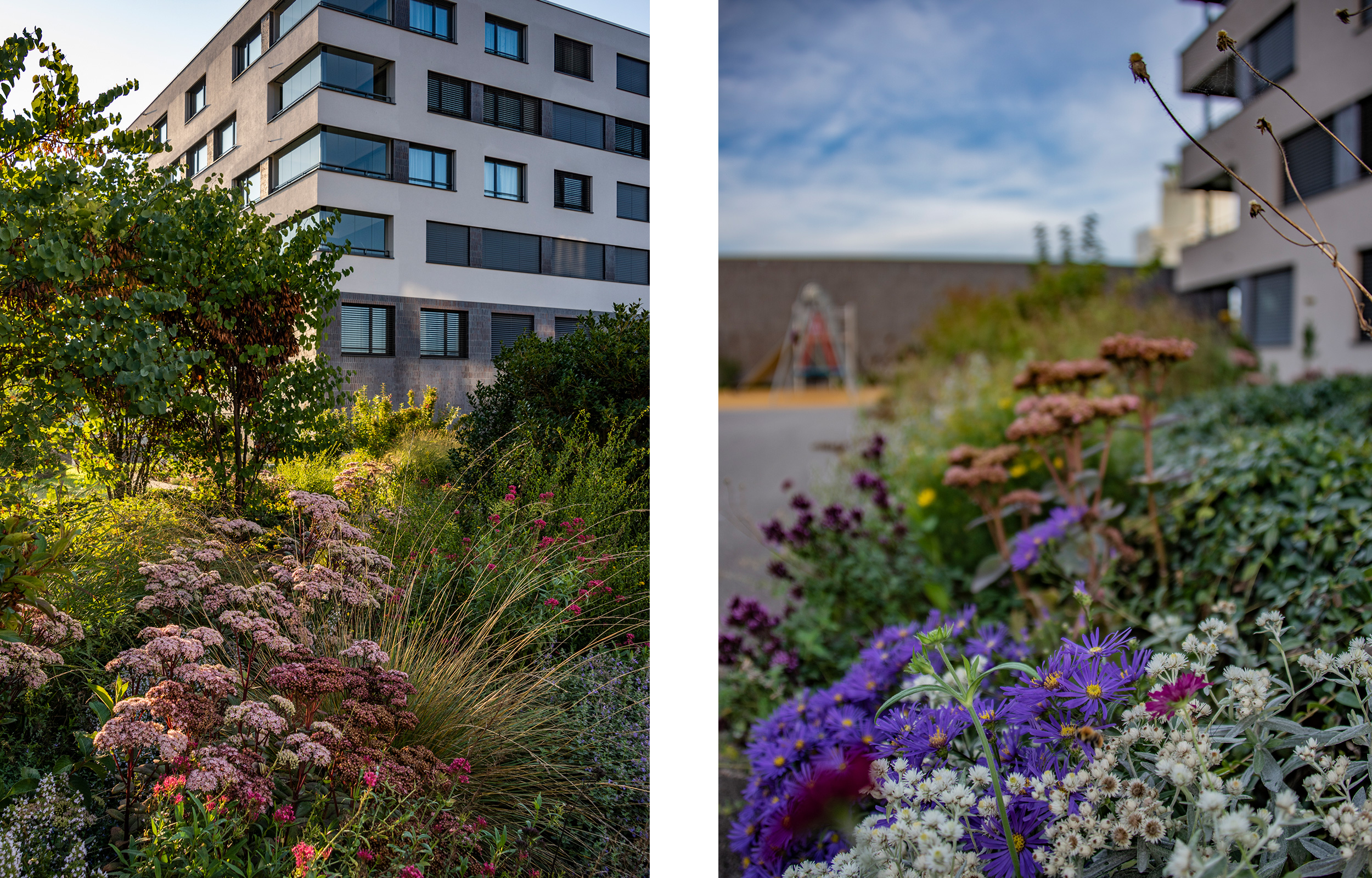 landformen-seepark-sempach-ts3