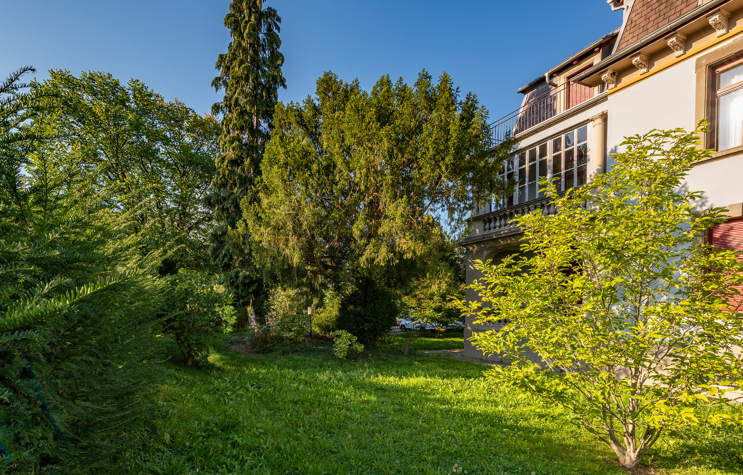 landformen-villa-aurora-luzern-ts4